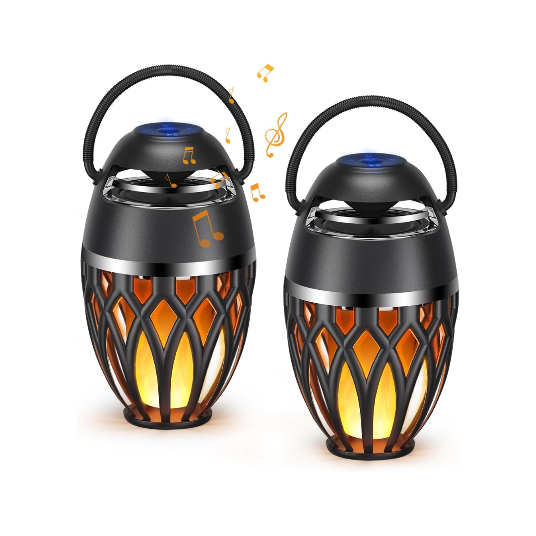 2 Pack Outdoor Bluetooth Speakers