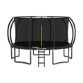 Trampoline Outdoor with Enclosure and Ladder
