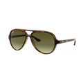 Ray-Ban Unisex RB4125 Cats 5000 Aviator Sunglasses