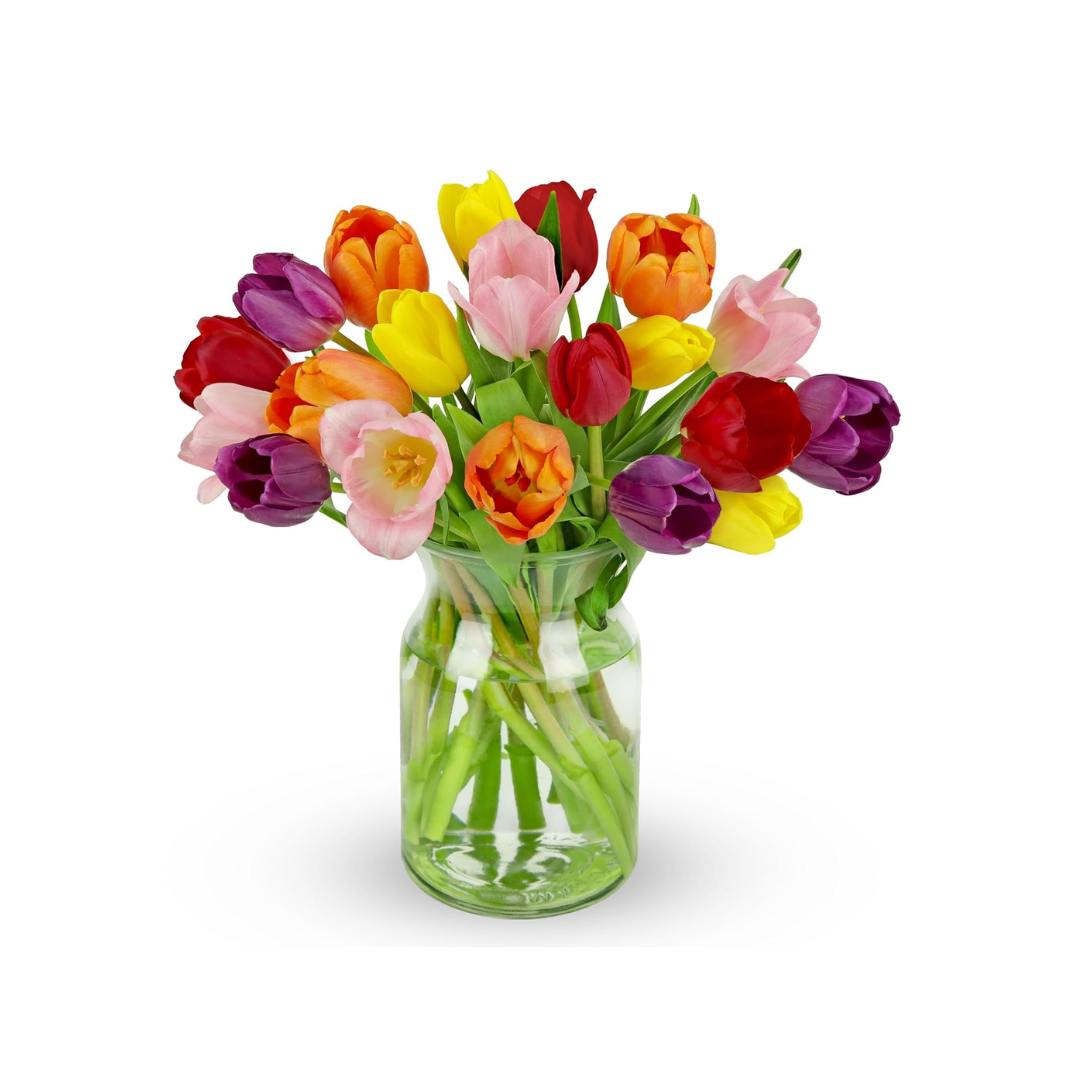 Benchmark Bouquets Rainbow Tulips