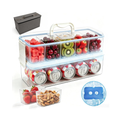 Snackle Box Container with 2 Ice Packs