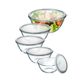Glass Mixing Bowls with Lids Set of 5