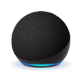 Echo Dot (newest model)