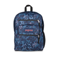 JanSport Laptop Backpack