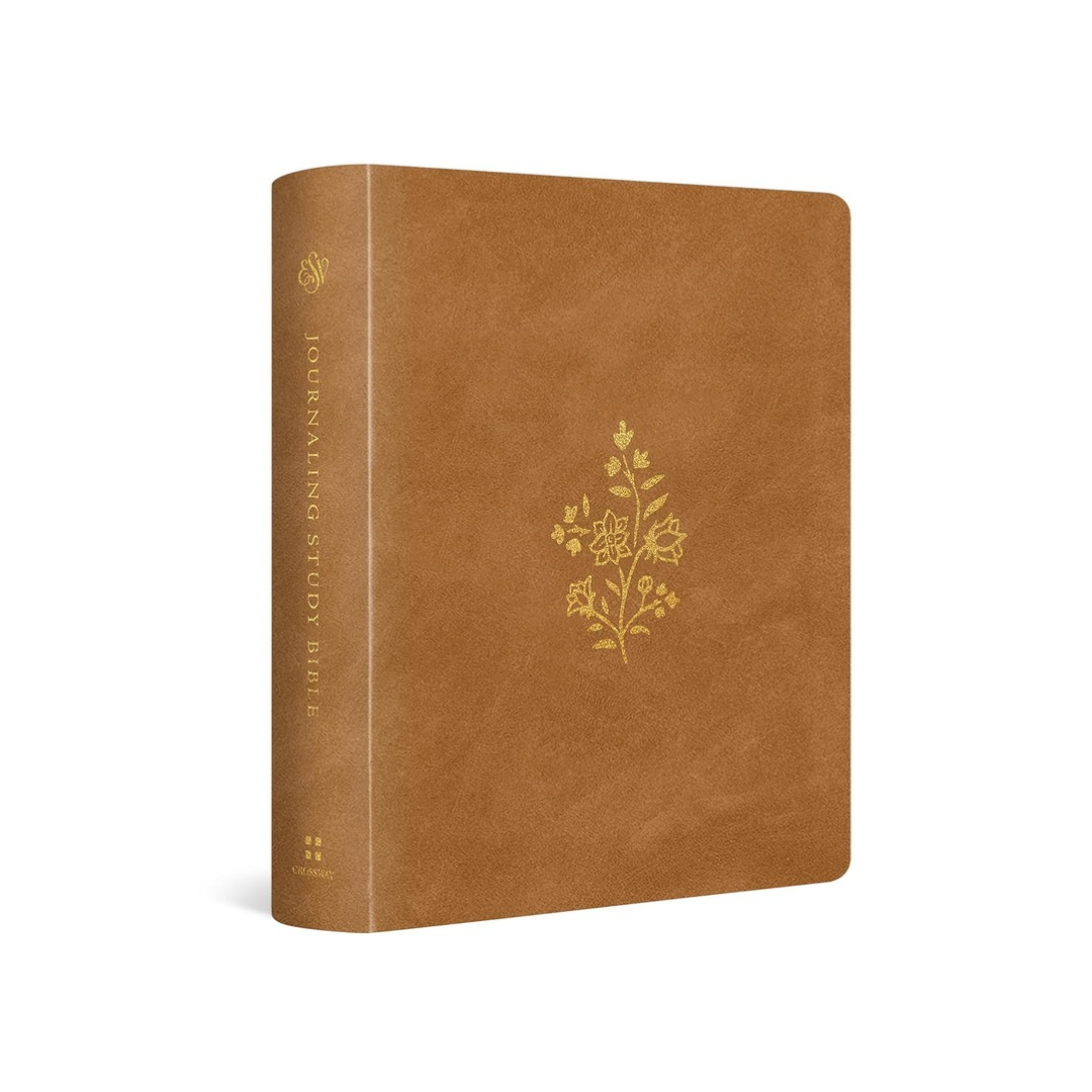Journaling Study Bible