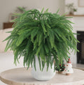 12Pcs Christmas Norfolk Pine Stems